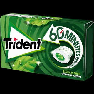 TRIDENT 60MINUT SPEAR 22G