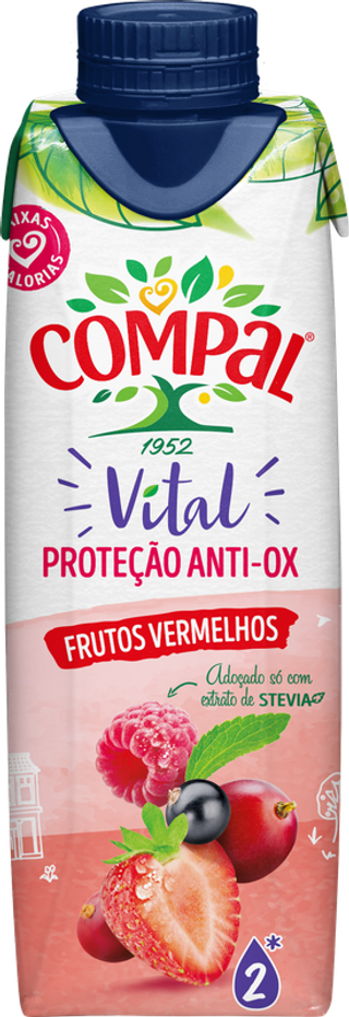 COMPAL VITAL FRUTOS VERMELHOS 300ML
