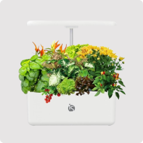 Jardinagem