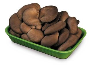 Funghi Pleurotus Gr.300 - 921107