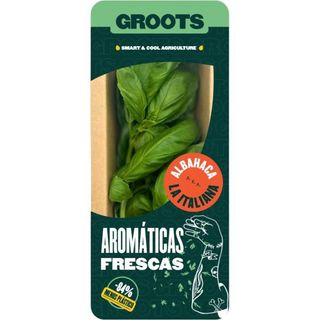 Albahaca Groots, Bandeja 20 G (25315243)