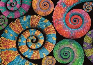 Puzzle 500 Colorboom Curly Tails(6) (8005125355297)