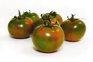 Pomodoro Verde Camone Gr.500 - 916866