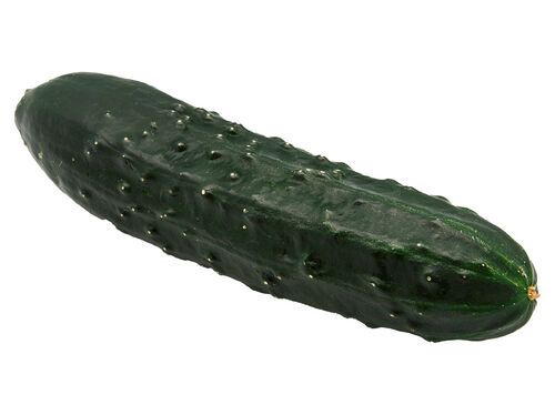 PEPINO KG