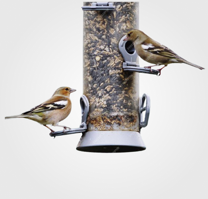 Alimentación Pájaros