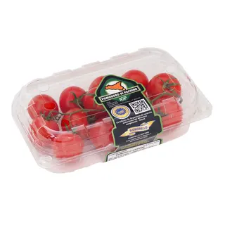 Pomodoro Ciliegino Di Pachino IGP 300g