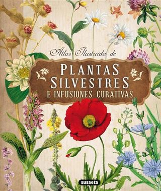 Plantas Silvestres E Infusiones Curativas (9788467722864)