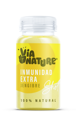 Shot Jengibre Via Nature 100Ml