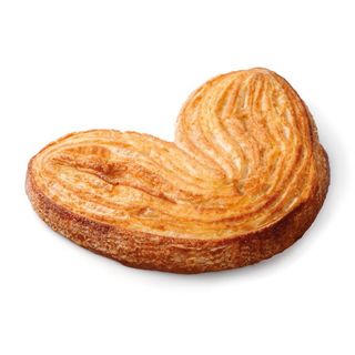 Palmier Xxxl 280G