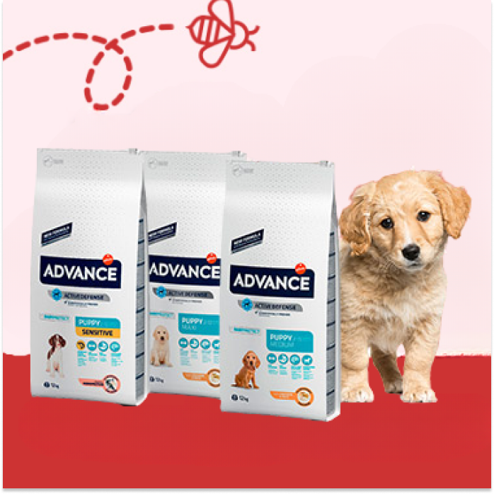 Alimentación Perros