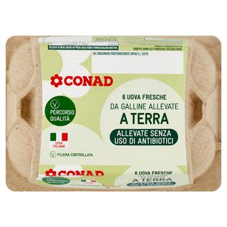 CONAD Percorso Qualità Allevate Senza Uso di Antibiotici 6 Uova Fresche da Galline Allevate a Terra - 8003170070233