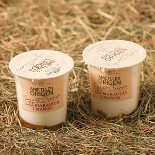 Iogurt Bicapa Mango-Maracujà Ao 125G 2U.