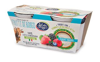 Yogurt magro ai frutti di bosco