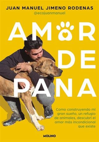 Amor De Pana (9788427241572)