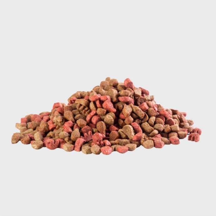 Karma sucha dla psów