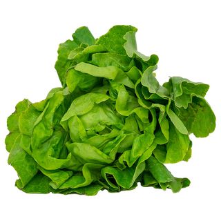 Lattuga Trocadero Cat.Ii Al Pz 150G/Lattuga Trocadero Cat.Ii Al Pz 150G