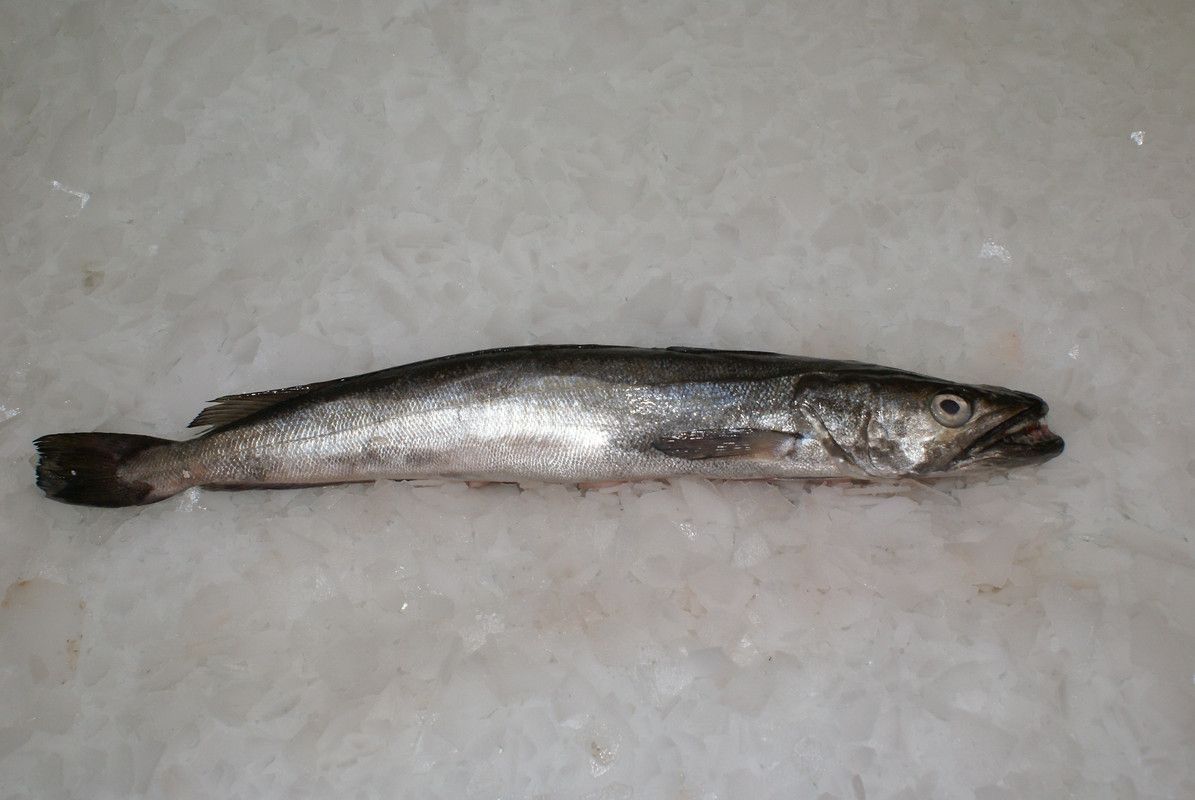 Pescada e Peixe-Espada