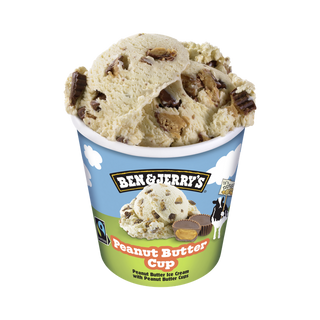 Ben & Jerry's Gelado de Manteiga de Amendoim embalagem 465 ml - 18954402527