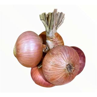 Cipolla Ramata Montoro Treccia Kg.1X10