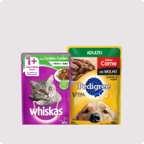 Animais de Estimação