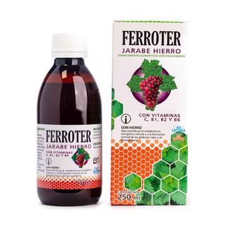 Jarabe Ferroter 250ml Terra Verda