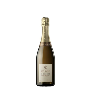Cava Juve Camps Millesimé Chardonnay