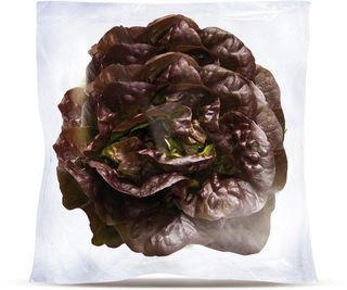 Lattuga Trocadero Confezionata - 916173