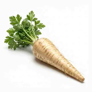 Pietruszka Korzeń 250g