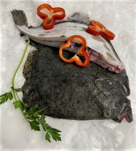 Solha, Pregado e Linguado