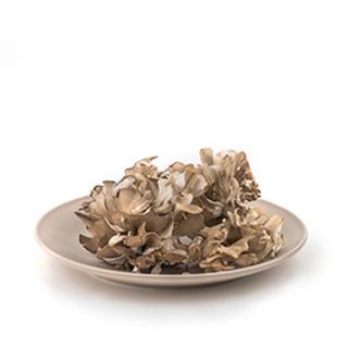 Maitake Eco 1 Ud. 150 Gr.