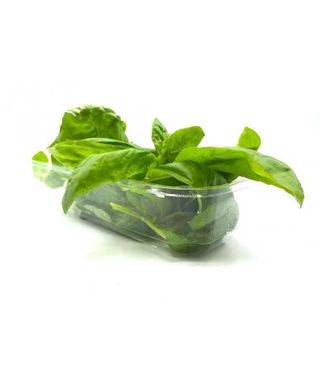 Basilico In Vaschetta 30g