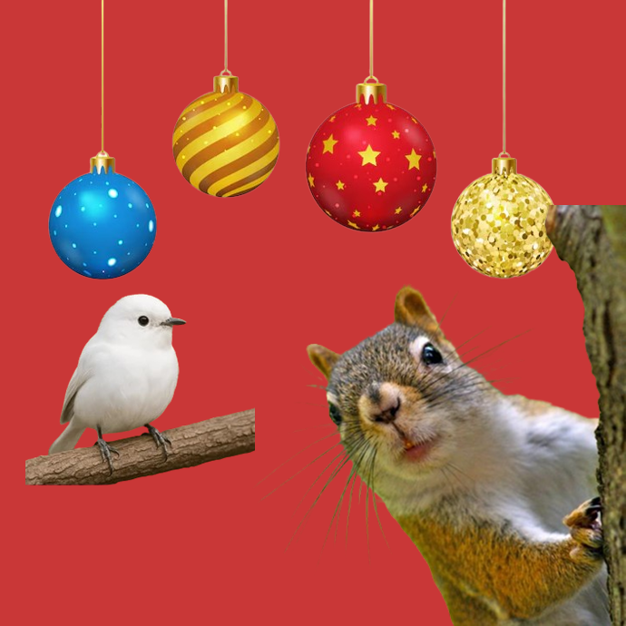 Otros animales Navidad