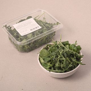 Mix Canonge/ Ruca 60G