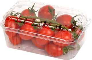 POM. PICCADILLY GR.500