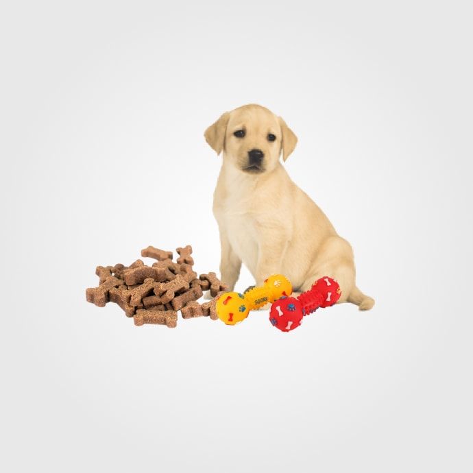 Alimentos y Artículos para Perros