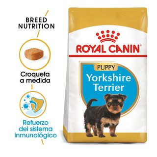 Royal Canin Puppy Yorkshire Terrier Pienso Para Perros 0.5Kg
