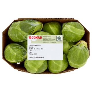 CONAD Cavolini di Bruxelles Paesi Bassi Cal. 31-41 mm 370 g - 8003170095519