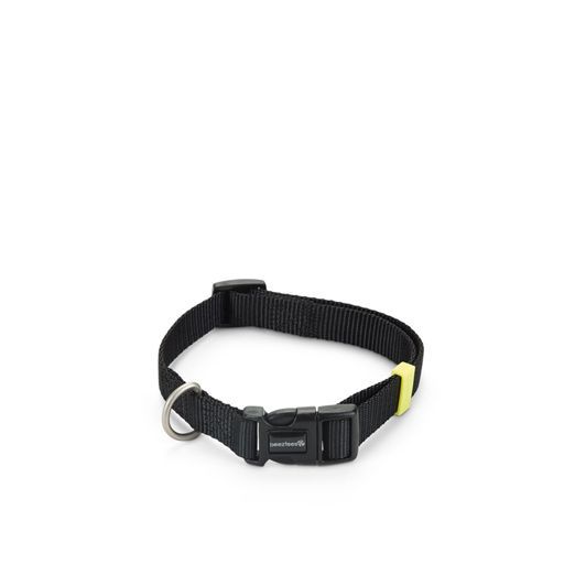 Peitorais, Coleiras e Trelas Cão