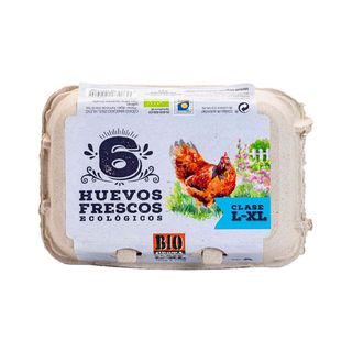Huevos frescos ecológicos tamaño L-XL con 6 unidades