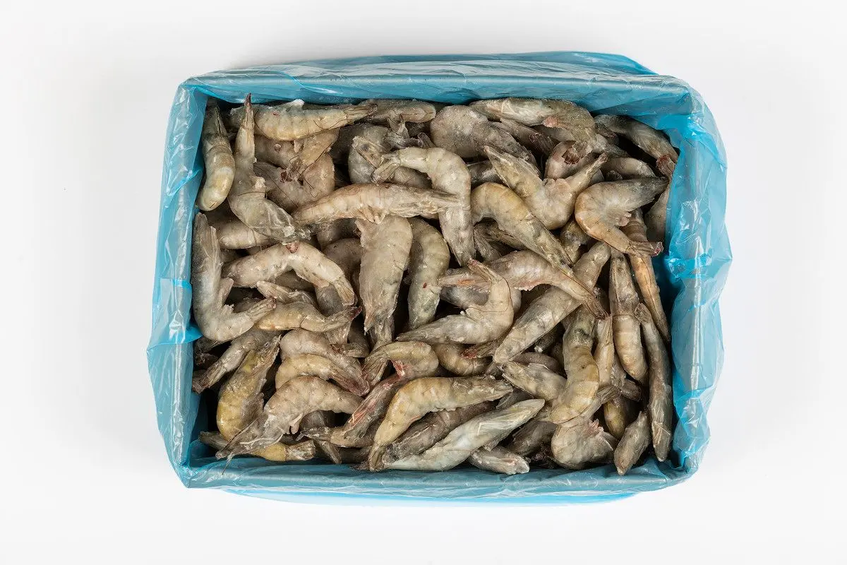 Camarão e Gambas