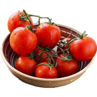 Tomate en rama bandeja 500 g