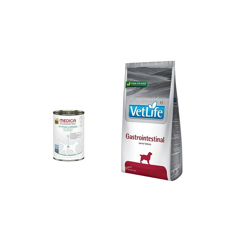 ALIMENTAZIONE DIETE CANE