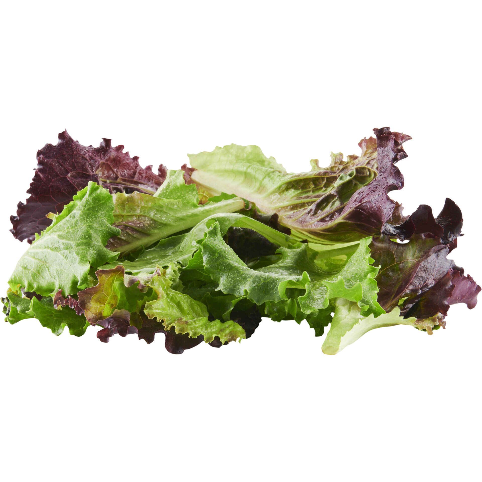 Salada, Preparados e Salteados