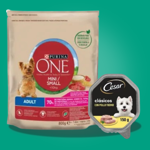 Comida para tu Perro!