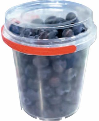 Arandanos Cubo 500Gr