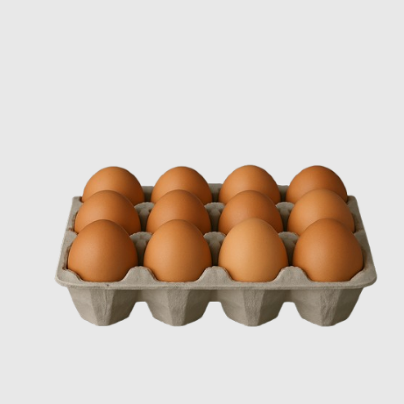 Huevos