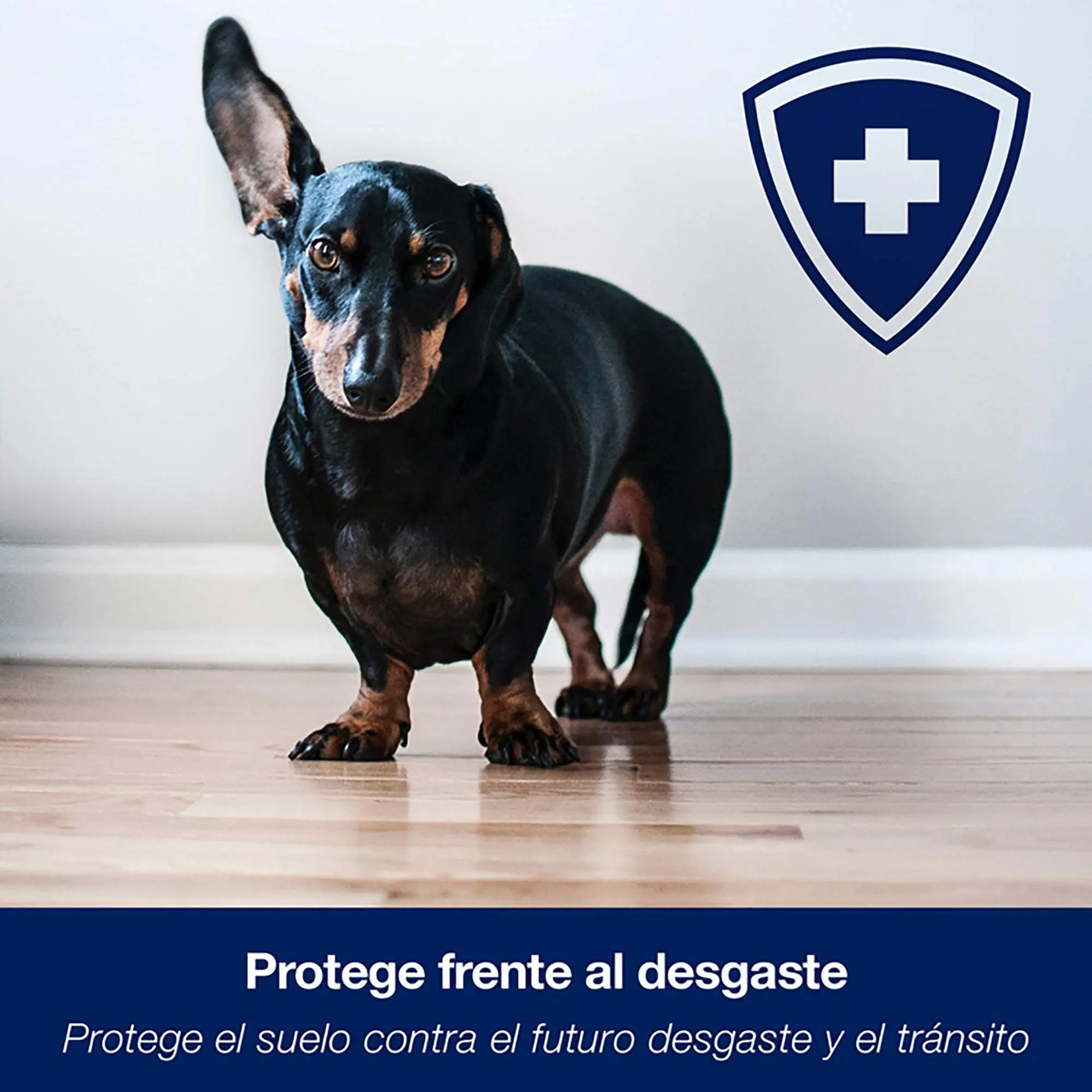 Pavimento Chão