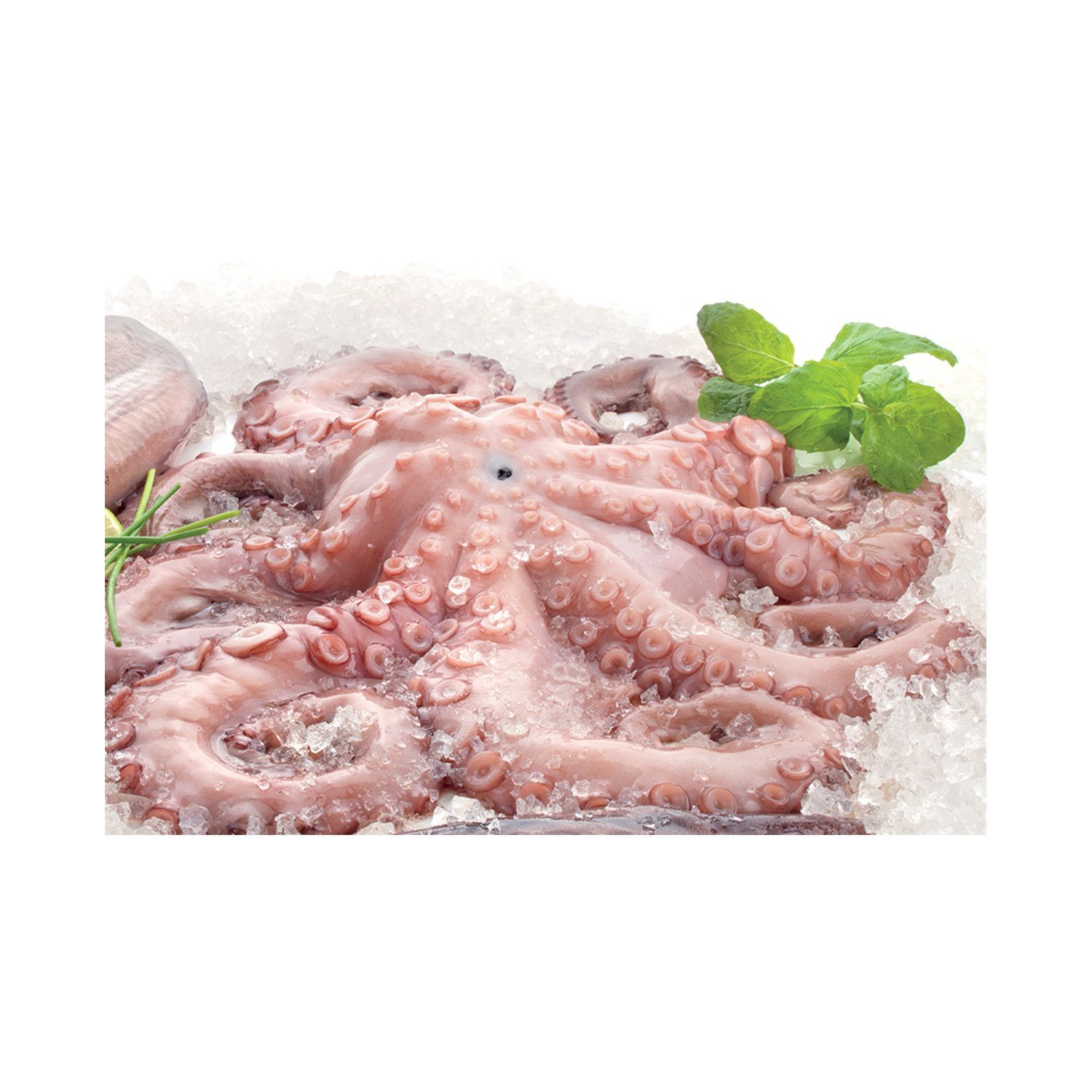 Essenciais para a Consoada