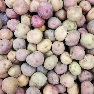 Papa negra canarias kg