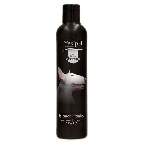 Higiene e Estética Cão